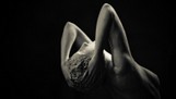 La déchirée 6 l Jonas Jacquel l dijOnscOpe l 2011.jpg